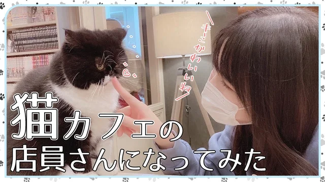 【初バイト】猫カフェの店員さんになってみたのサムネイル
